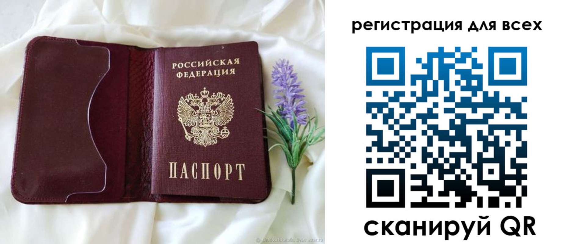 прописка 2025 в Нововоронеже